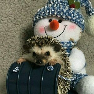 Meet your Posher, Tammy